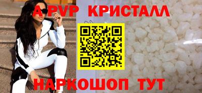 СК Кингисепп
