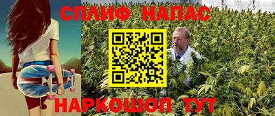 СК Кингисепп