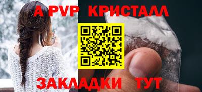 СК Кингисепп