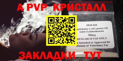 СК Кингисепп