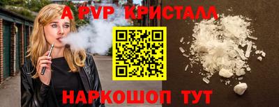 СК Кингисепп