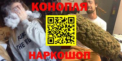 СК Кингисепп