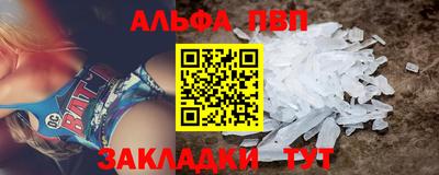 СК Кингисепп