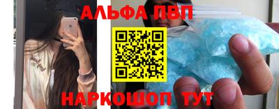 СК Кингисепп