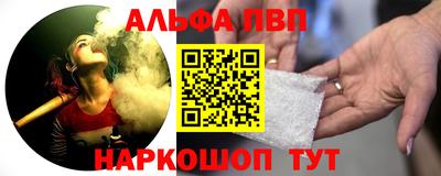 СК Кингисепп