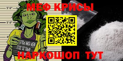 СК Кингисепп