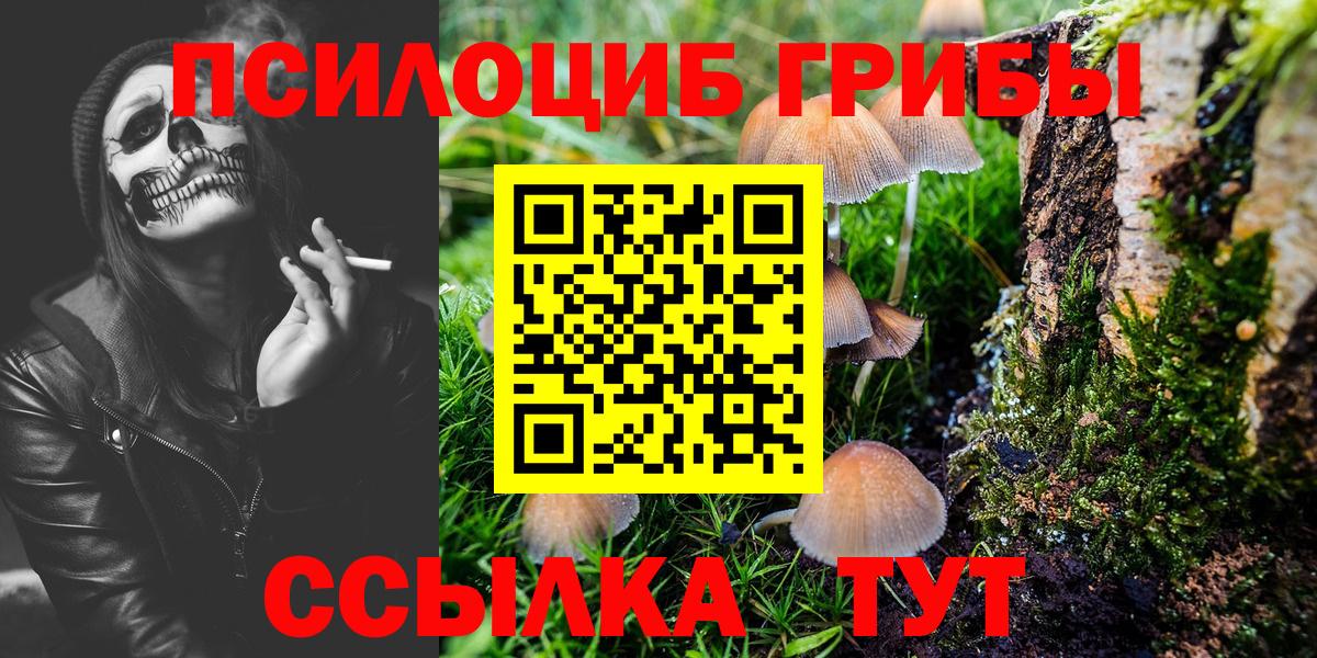 Псилоцибиновые грибы прущие грибы Красноярск